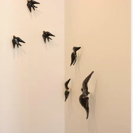 Appartement Hm - Cedofeita 500b