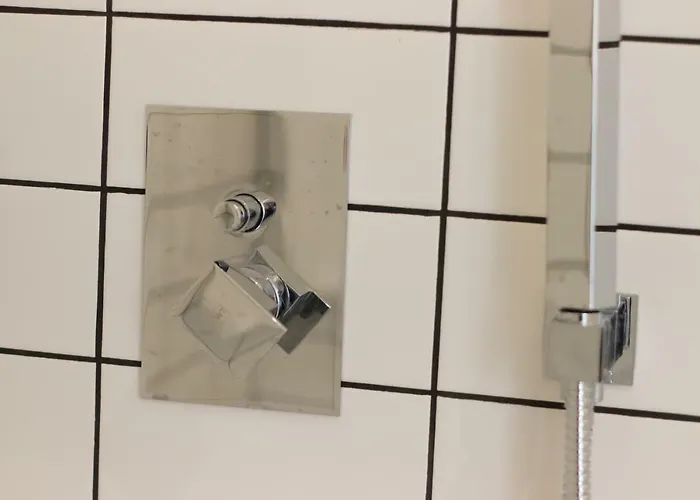 Hm - Cedofeita 500b *