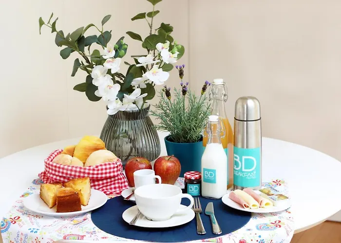 Hm - Cedofeita 500b Porto